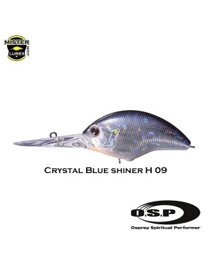 O.S.P. Blitz Max-DR