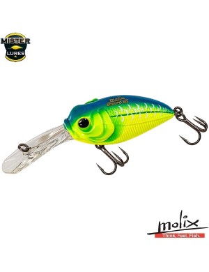Molix. Sculpo XD Silent