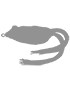 Ranas