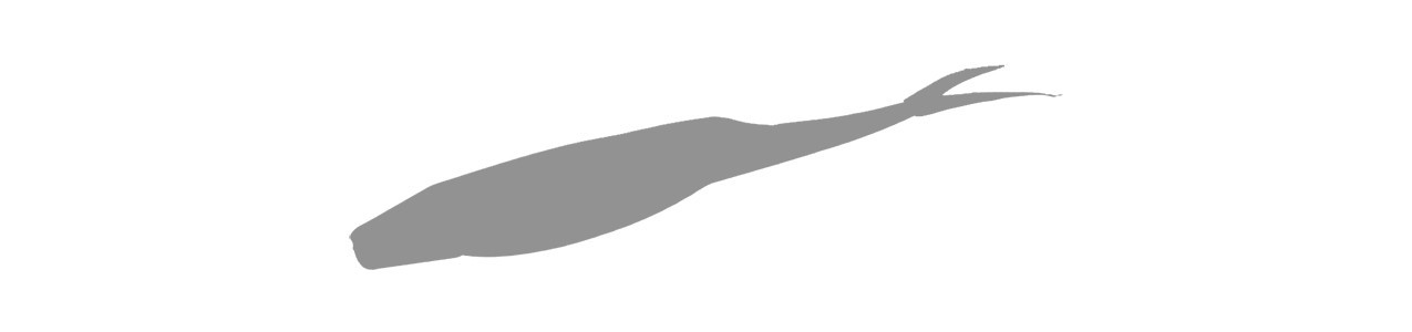 Jerkbaits de Vinilo